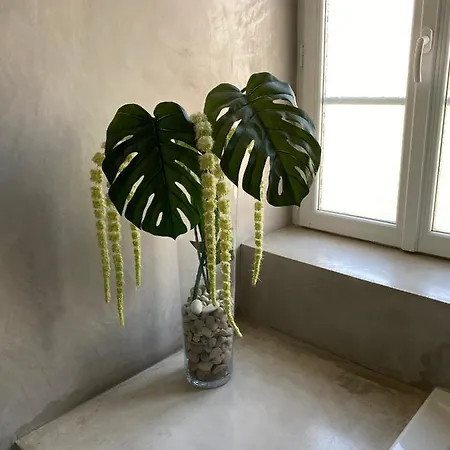 Le Logis Gout カルカソンヌ