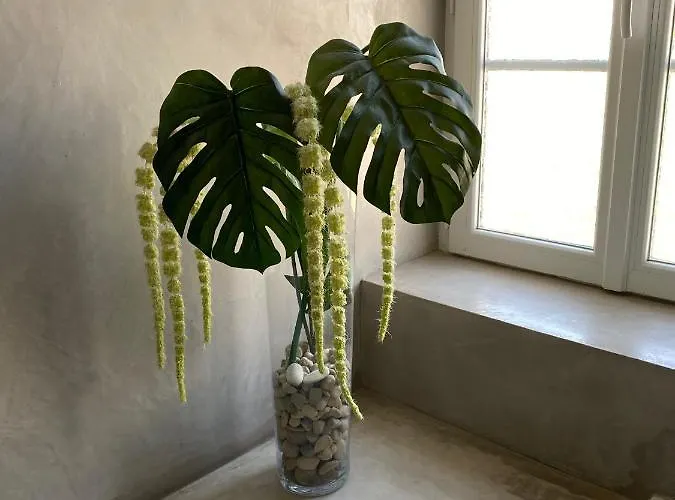 Le Logis Gout Carcassonne